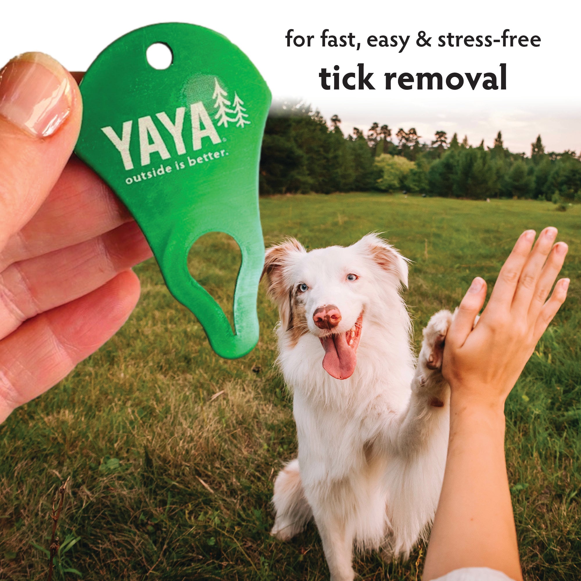 TickKey Easy Tick Removal Tool – YAYA Organics
