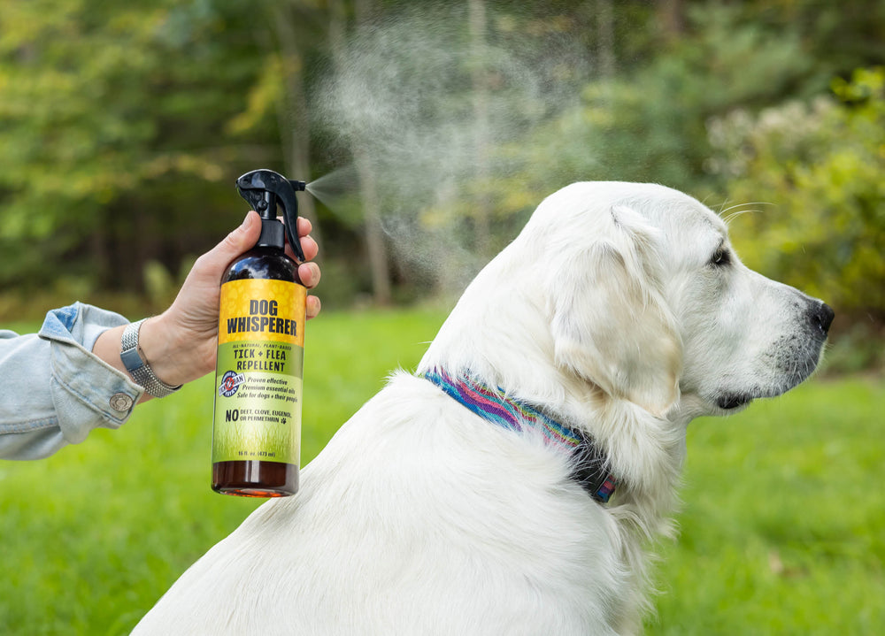 Dog Whisperer® All-Natural Tick + Flea Repellent 16 oz