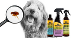 How to Get Rid of Fleas Naturally: Your go-to Flea-Busting checklist