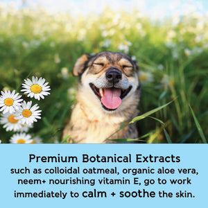 Dog Whisperer® Soothing Oatmeal Eco-friendly Dog Shampoo - Milk & Honey Scent