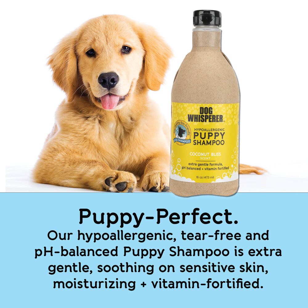 Dog Whisperer® Hypoallergenic Puppy Eco-friendly Dog Shampoo - Coconut Bliss Scent