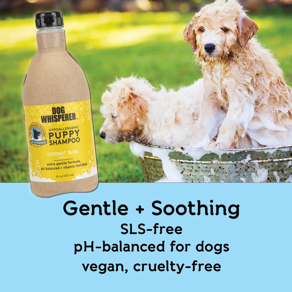 
                  
                    Dog Whisperer® Hypoallergenic Puppy Eco-friendly Dog Shampoo - Coconut Bliss Scent
                  
                