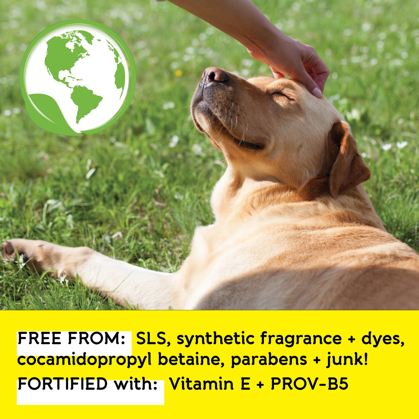 
                  
                    Dog Whisperer® All-In-One Eco-friendly Dog Shampoo - Cucumber Aloe Scent
                  
                