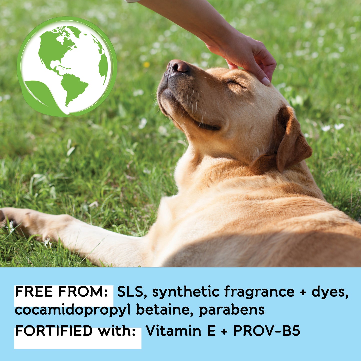 
                  
                    Dog Whisperer® Soothing Oatmeal Dog Shampoo - Milk & Honey
                  
                
