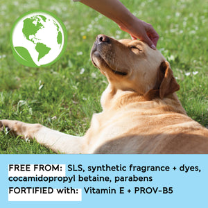 Dog Whisperer® Soothing Oatmeal Eco-friendly Dog Shampoo - Milk & Honey Scent