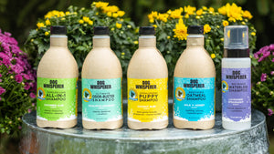 Dog Whisperer® Hypoallergenic Puppy Eco-friendly Dog Shampoo - Coconut Bliss Scent