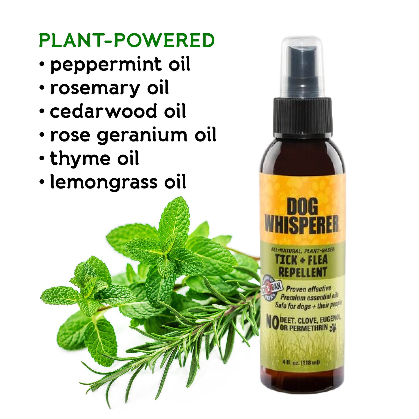 
                  
                    Dog Whisperer® Tick +Flea Natural Repellent Spray 4 oz
                  
                