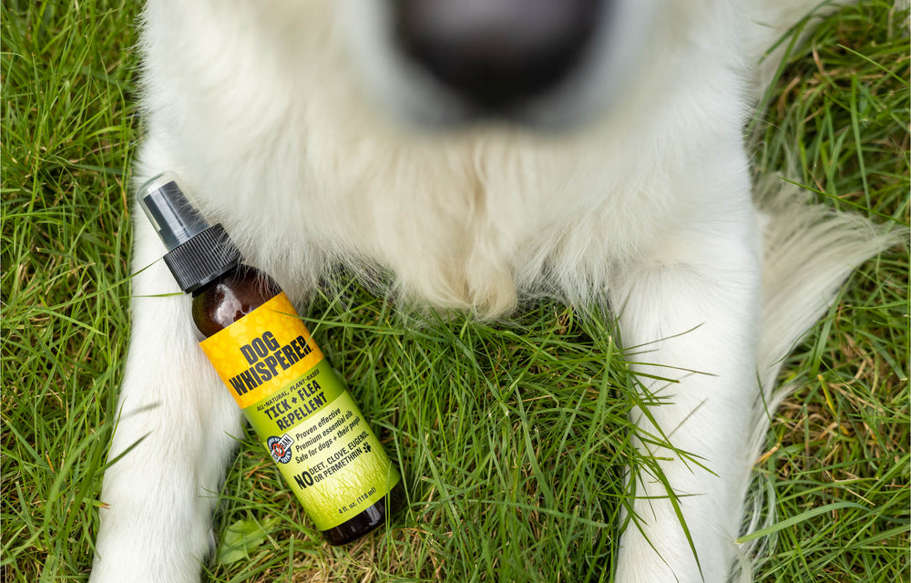 
                
                    Load image into Gallery viewer, Dog Whisperer® Tick +Flea Natural Repellent Spray (4 oz)
                
            