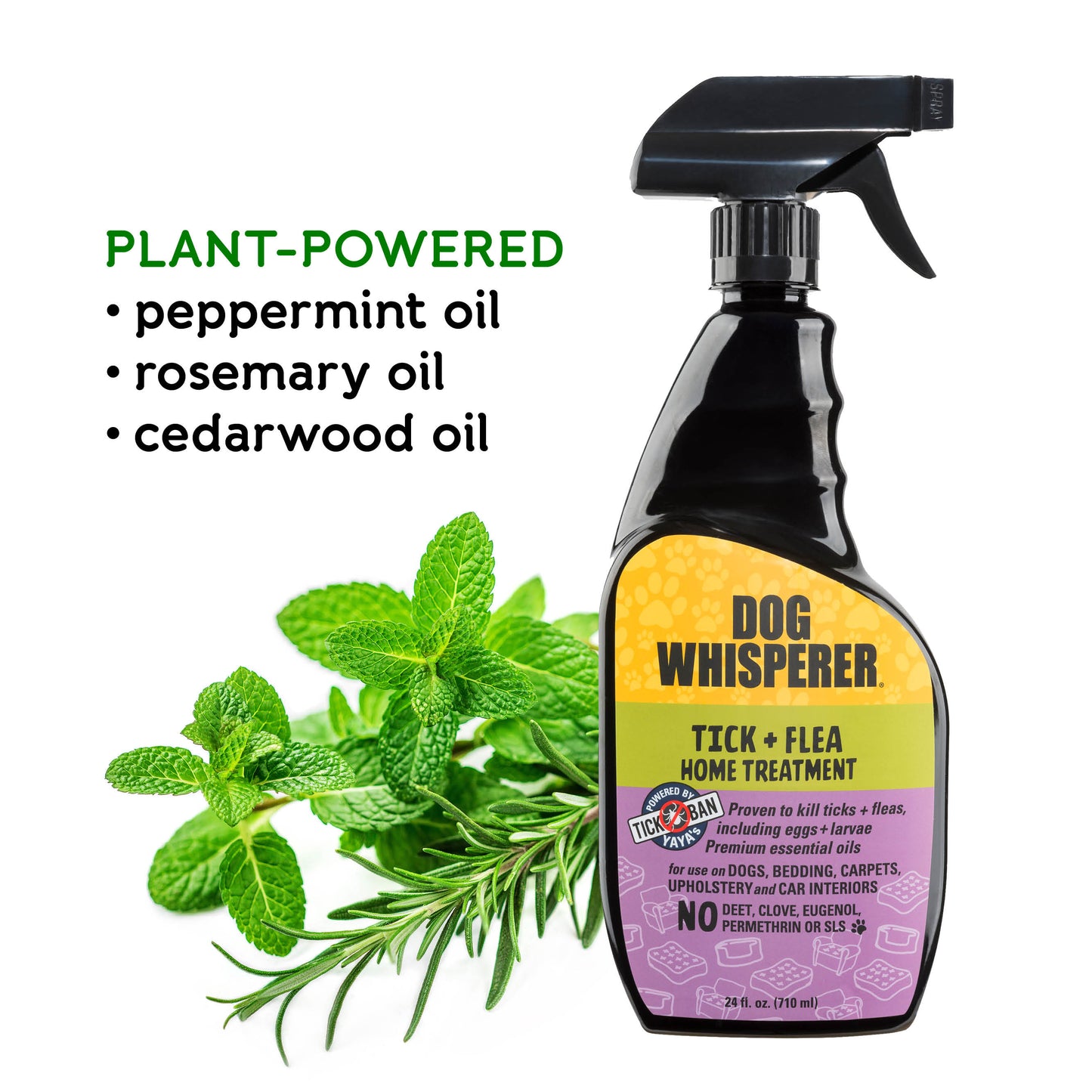 
                  
                    Dog Whisperer® Tick + Flea Home Treatment Spray 24oz
                  
                