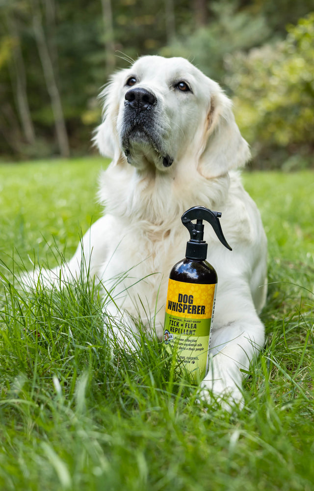 Dog Whisperer® All-Natural Tick + Flea Repellent 16 oz