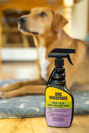 Dog Whisperer® Plant-powered Tick + Flea Bundle (3-Step System)