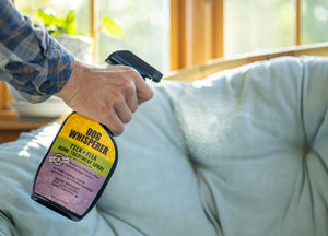 Dog Whisperer® Tick + Flea Home Treatment Spray 24oz