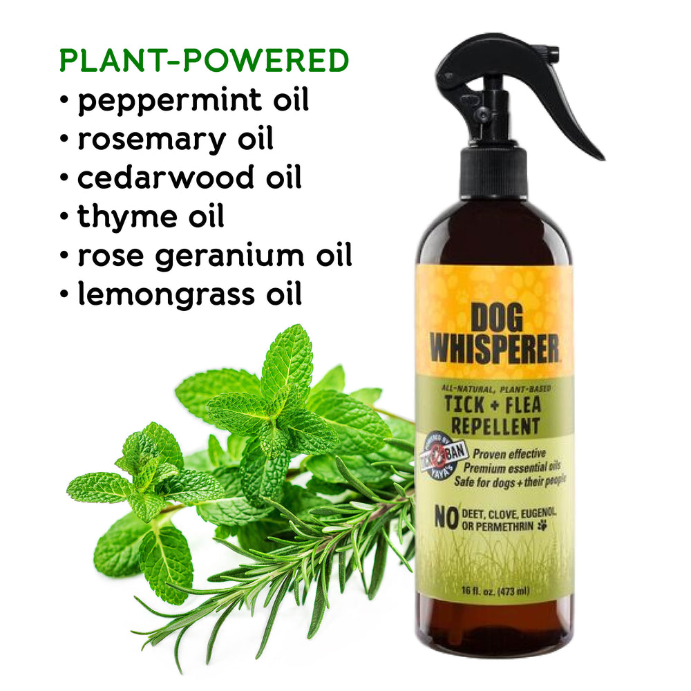
                  
                    Dog Whisperer® All-Natural Tick + Flea Repellent 16 oz
                  
                