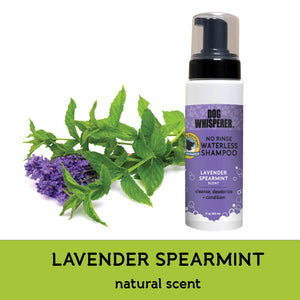 Dog Whisperer® No-Rinse Waterless Eco-Friendly Dog Shampoo - Lavender Spearmint Scent