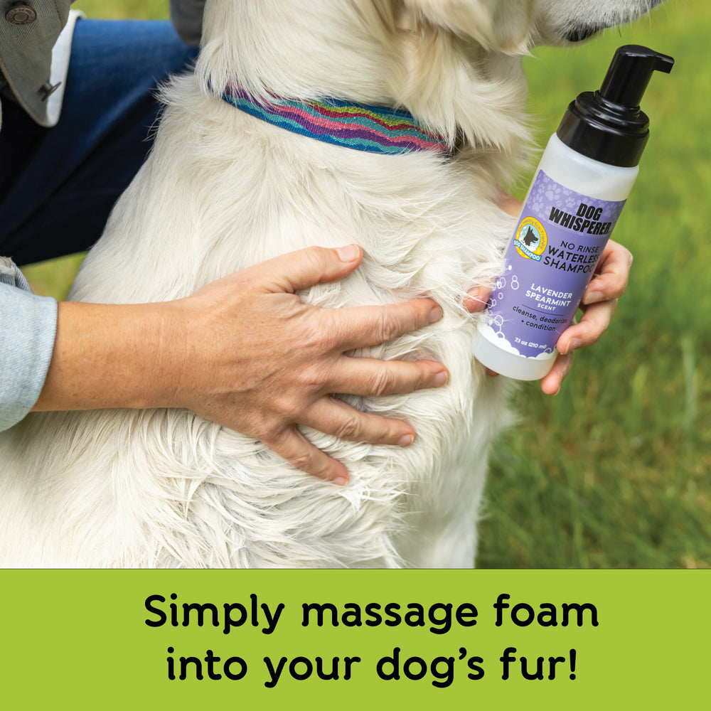 mere og mere dør Tentacle Dog Whisperer® No-Rinse Waterless Eco-Friendly Dog Shampoo - Lavender –  YAYA Organics