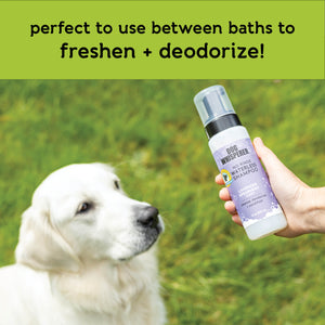Dog Whisperer® No-Rinse Waterless Eco-Friendly Dog Shampoo - Lavender Spearmint Scent