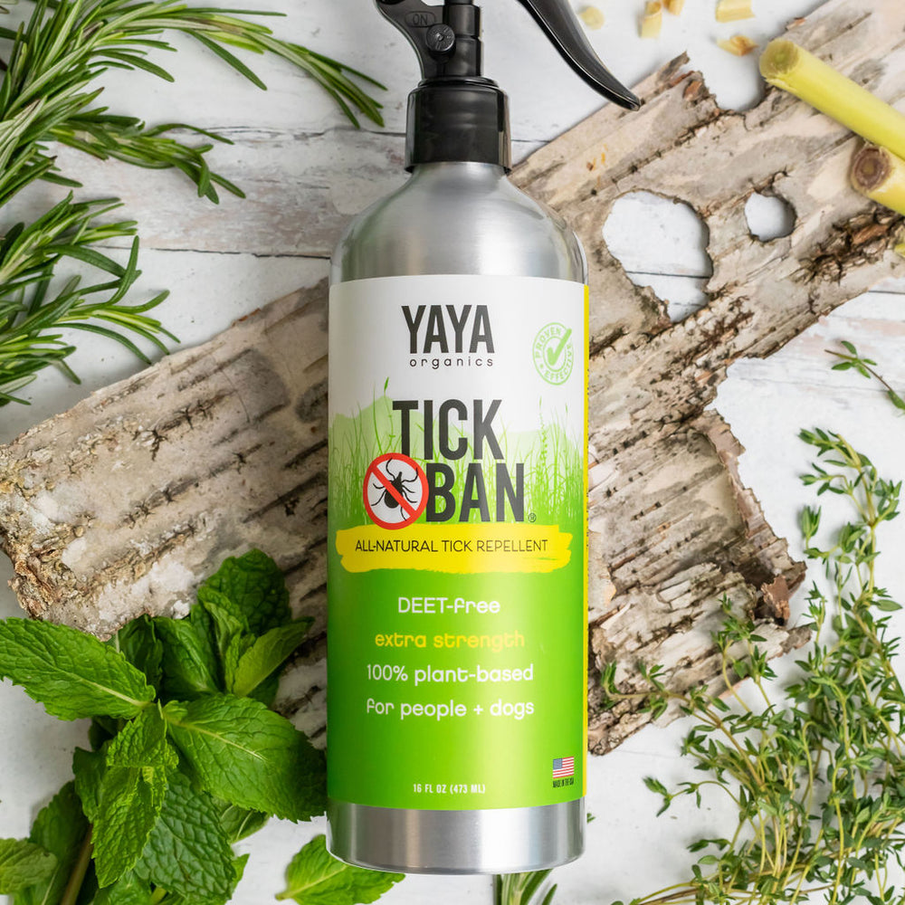 
                  
                    Natural Bug Repellents 16 oz Bundle (Tick Ban + Squito Ban)
                  
                
