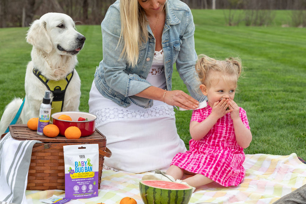 BABY BUG BAN™ Natural Bug Repellent + Wipes Bundle