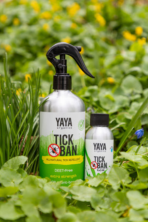 TICK BAN® All-Natural Tick Repellent (16 oz) + Refill Bundle